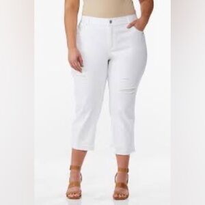 Cato | Plus Size Cropped Jeans White 28W